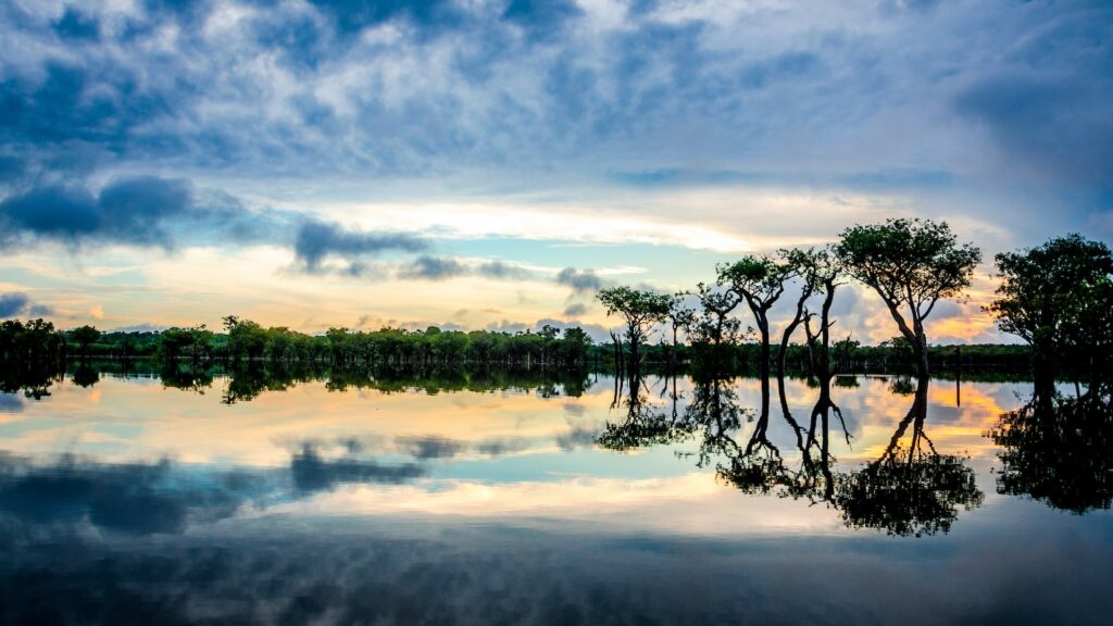 reflection on trees on clear body of water during sunset